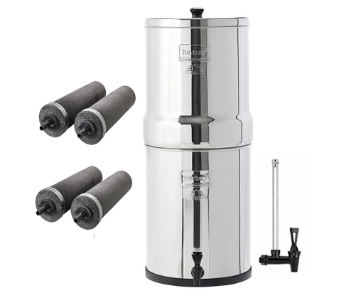 Royal Berkey